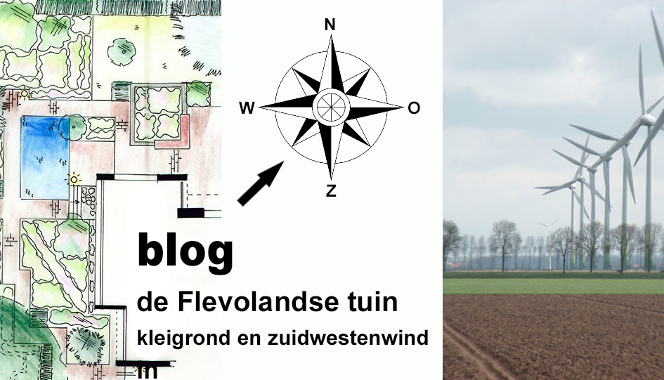 flevolandse tuin kleigrond en zuidwestenwind